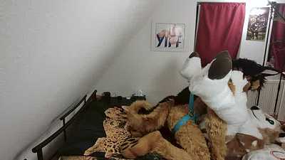 Rockster playing with his deer prey