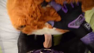 Taiky x Xanatos-pup preview