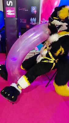 Venus 2025 wolf's first long neck will blown Ballon nonpop