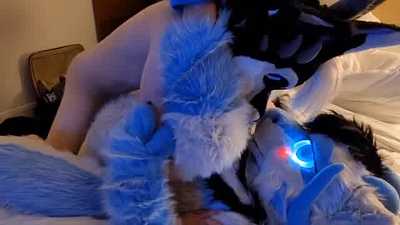 Kudoz Breeds Fathom Bareback