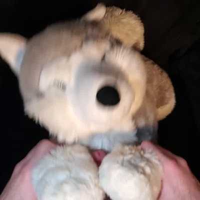 Cum on Silver Wolf Back