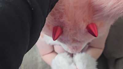 Trans furry femboy gives quick pawjob