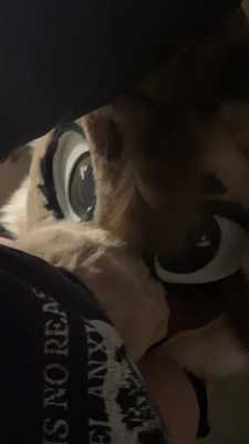 a slutty dog gets the bone 