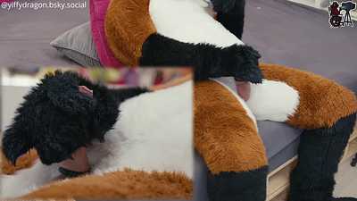 Fox Heat – Pawing Unleashed