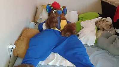 Cashy plays with his toy and cums