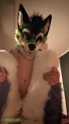 POV: Forest fox finally got a grip on your paws and uses you roughly!