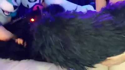 FWA 2019 Cuddle Puddle (FULL VIDEO)