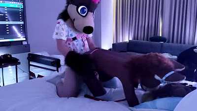 Hung Otter Rails Moany Dingo At MFF 2022 