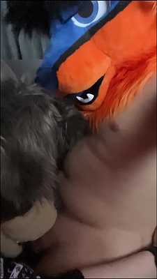 The prince's loyal pup