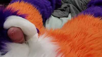 Geo Mutt playing with a wand. 