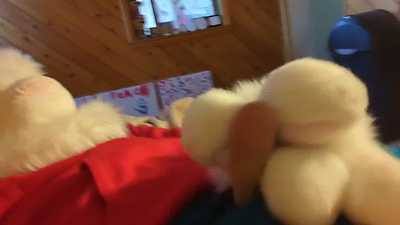 Pawing Off After Work