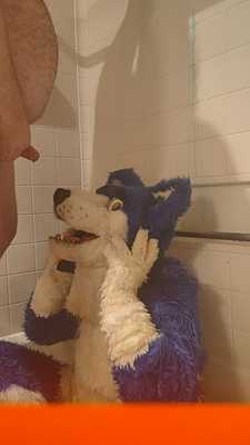 Marking my Husband (Full suit)