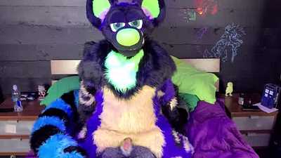 Moto Breeding a wild dog