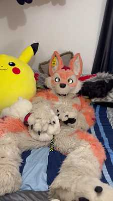 That little bear just cant resist a good fox roket 🦊🚀