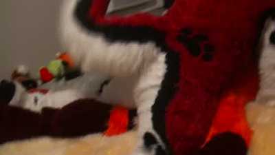 Cenny and MetricFox