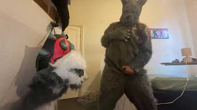 Pawing off in a furry wolf suit