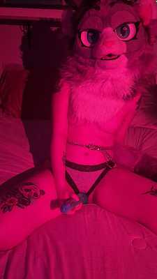 Kitty plays with herself 🐾