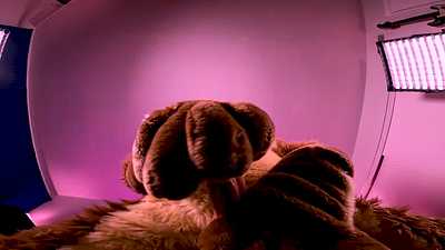 Is this toy DESIGNED for tip torture?