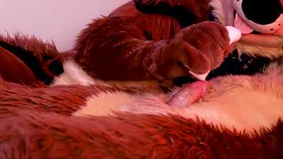 Overstimmed Into Oblivion