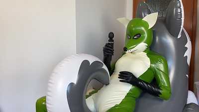 Green fox on husky pooltoy