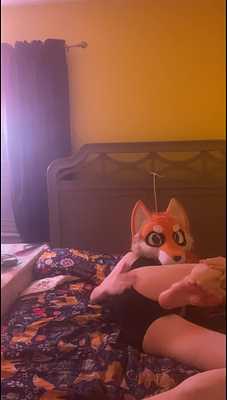 Bottom Foxxo Is Begging for Cock