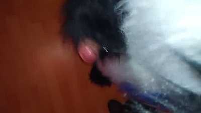 Pawing myself