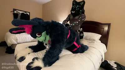 Panther rides a Bunny hard! (Sweetfire x Raleigh)