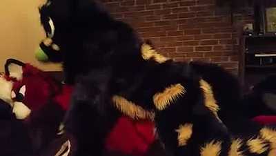 Humping a panda