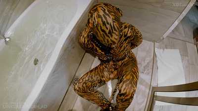 Testing the Pet Toys Limits (PREVIEW)