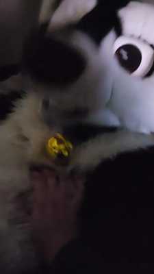 Sox gets wanded till he cums