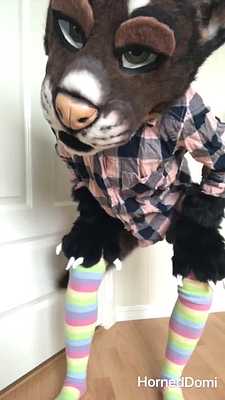 Teasing with a tailplug