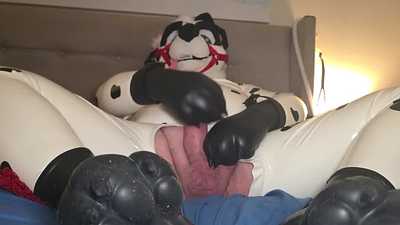 Poor pent up puppy needs some help