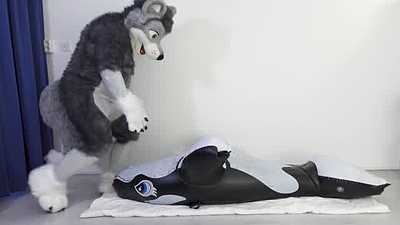 Fenny Humping the Orca