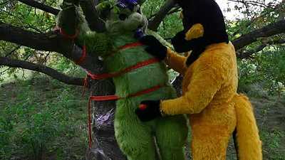 Tiger is Masturbated on a Tree