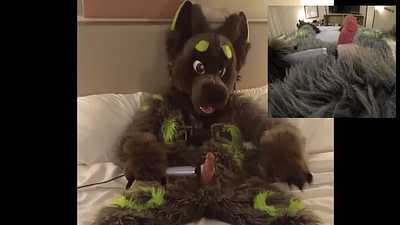 Wolf Playing with Wand