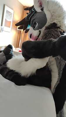 A New Years Breeding đđŚ