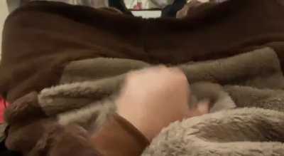 Pawing off in a bear onesie.