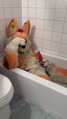 Muzo fox take a bath