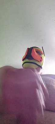 Puppy cums all over you