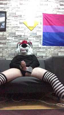 Percy cumming on his couch