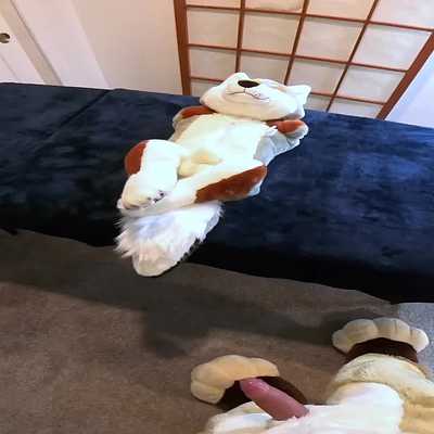 Dusty Coyote Plush POV Butthump