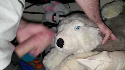 Silver Wolf Facial