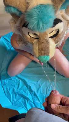 Lasky like it Yellow