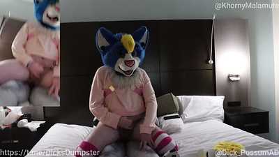 Kitty Rides Dog Knot