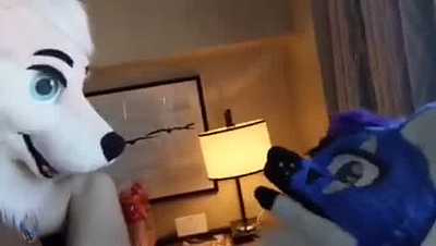 Being bred at FC20 by a friend