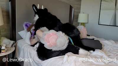 Shadow and Dracosong tff2023