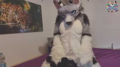 Have a ride on my Motorbunny