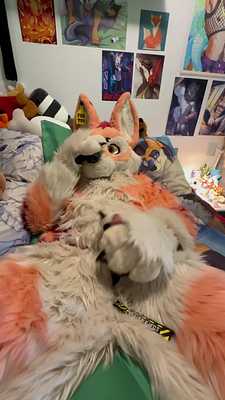 Muzo fox play with his knot 