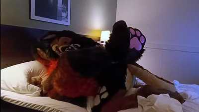 Fox and a hound part 1