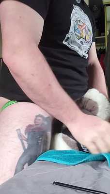 Breeding my wusky plushie